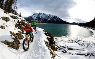 小杨阿姨曝光汪小菲豪宅内景，因隐私曾跟大S闹翻，都是观念问题