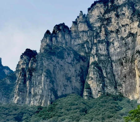 属牛的几月出生命运最佳与最苦？哪几个月是一等命的属牛人？