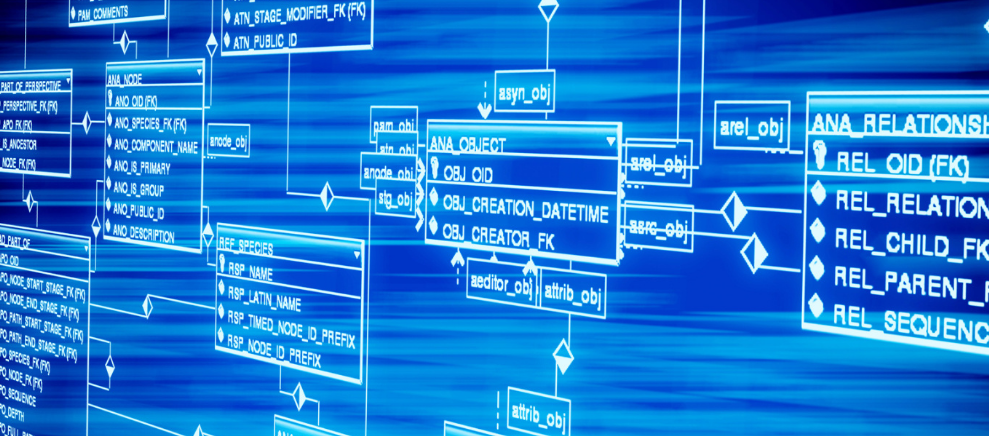 欢乐多多！动物过中秋抢吃月饼 萌态百出