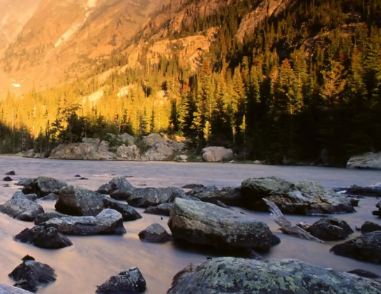 从生肖图腾看运程：龙虎争霸VS兔羊逆袭，谁主吉运？